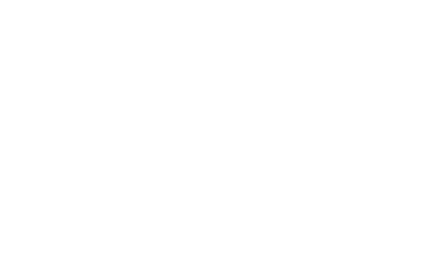 Chicharra FIS